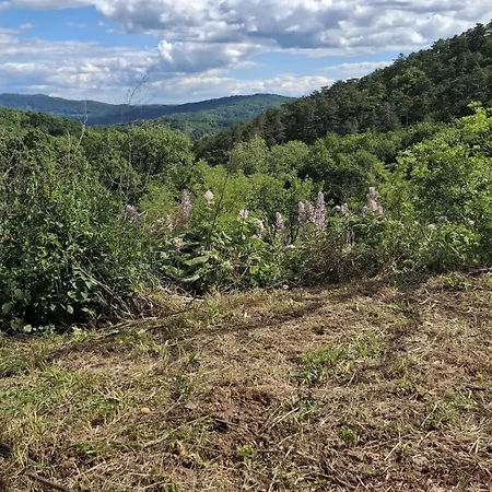Apartman Natural Tranquility On The Outskirts Of Ajdovscina *